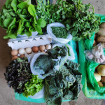 Verdes da Isabel - Cabaz Hortícola Grande