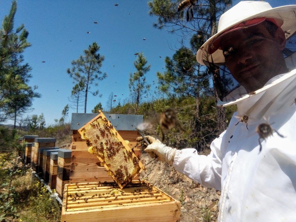 Rui Lourenço - Produção Mel Biológico - Sertã